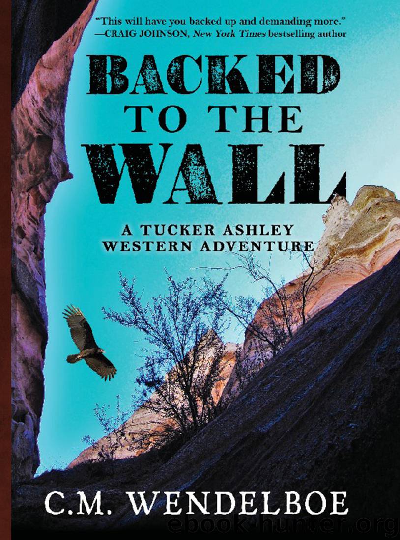 Backed to the Wall by C. M. Wendelboe