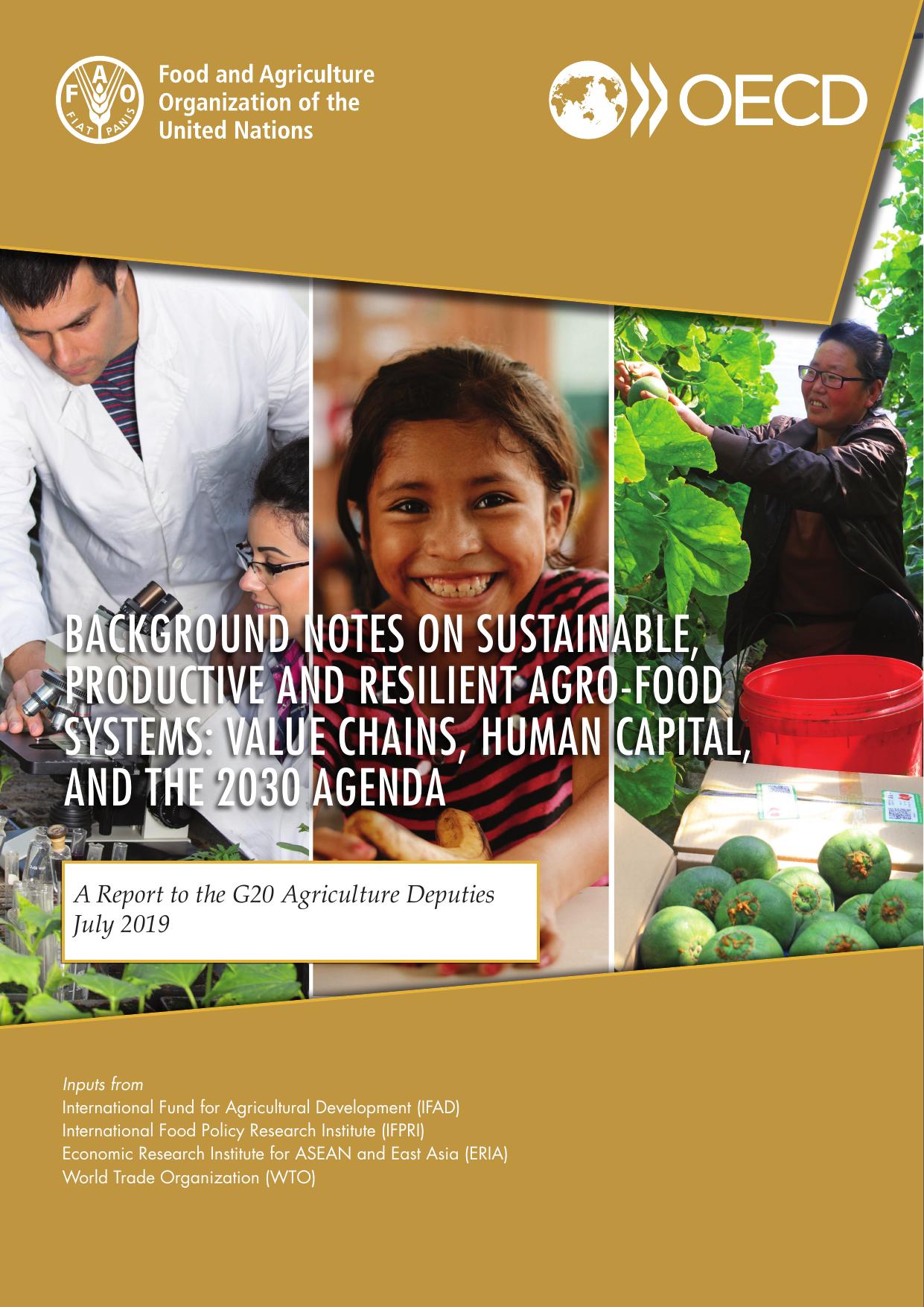 Background Notes on Sustainable, Productive and Resilient Agro-Food Systems: Value chains, human capital, and the 2030 Agenda: A Report to the G20 Agriculture Deputies July 2019 by Food and Agriculture Organization of the United Nations