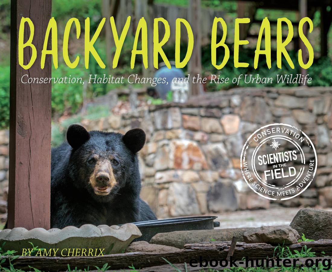 Backyard Bears by Amy Cherrix