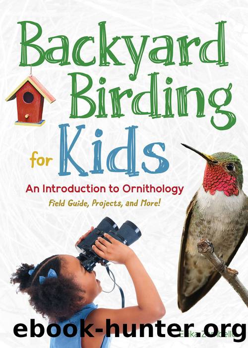 Backyard Birding for Kids by Erika Zambello