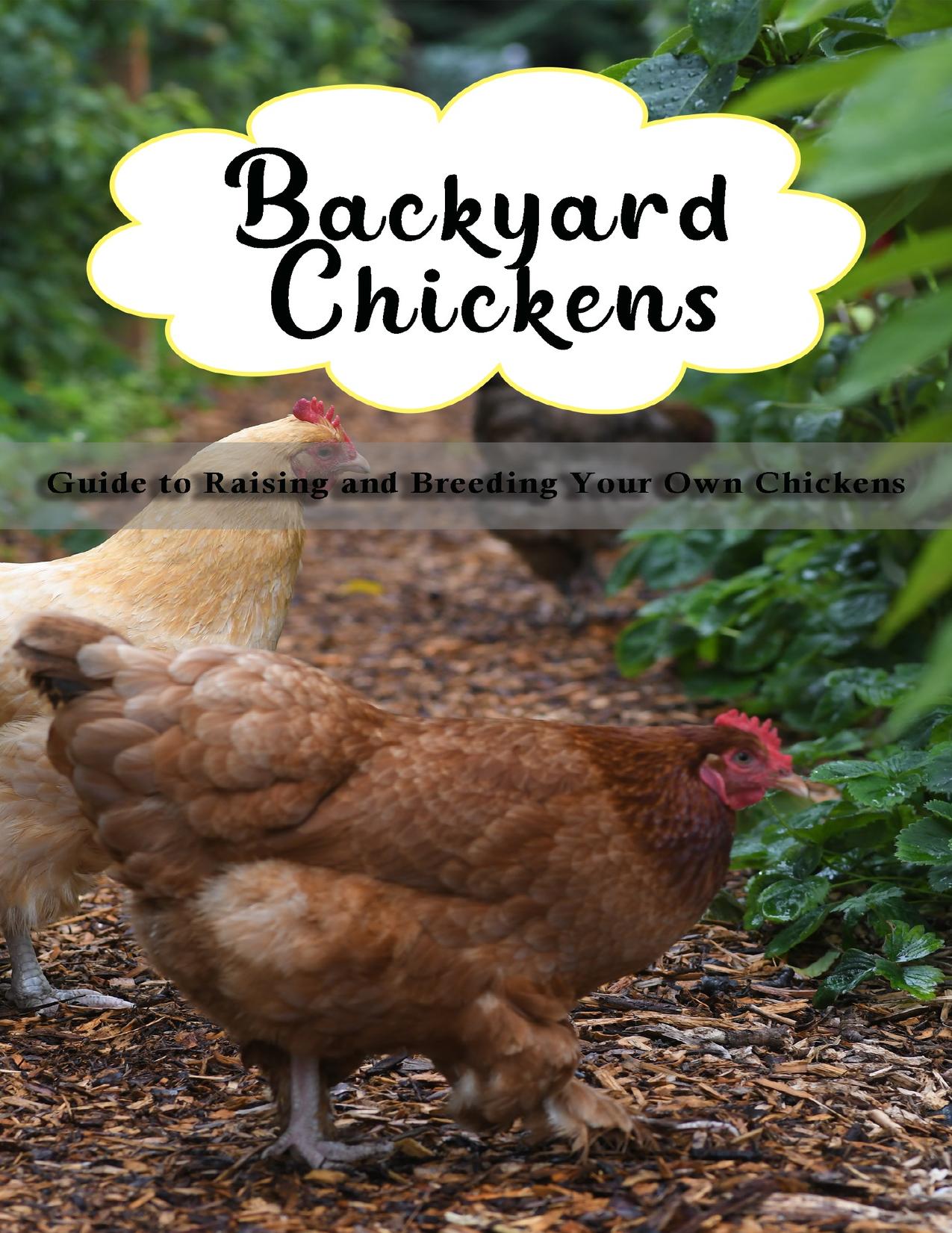 Backyard Chickens ; Guide to Raising and Breeding Your Own Chickens by Joshua McPherson