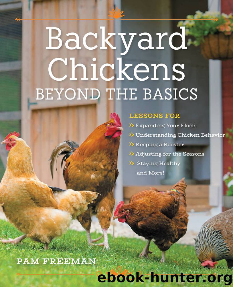 Backyard Chickens Beyond the Basics by Pam Freeman