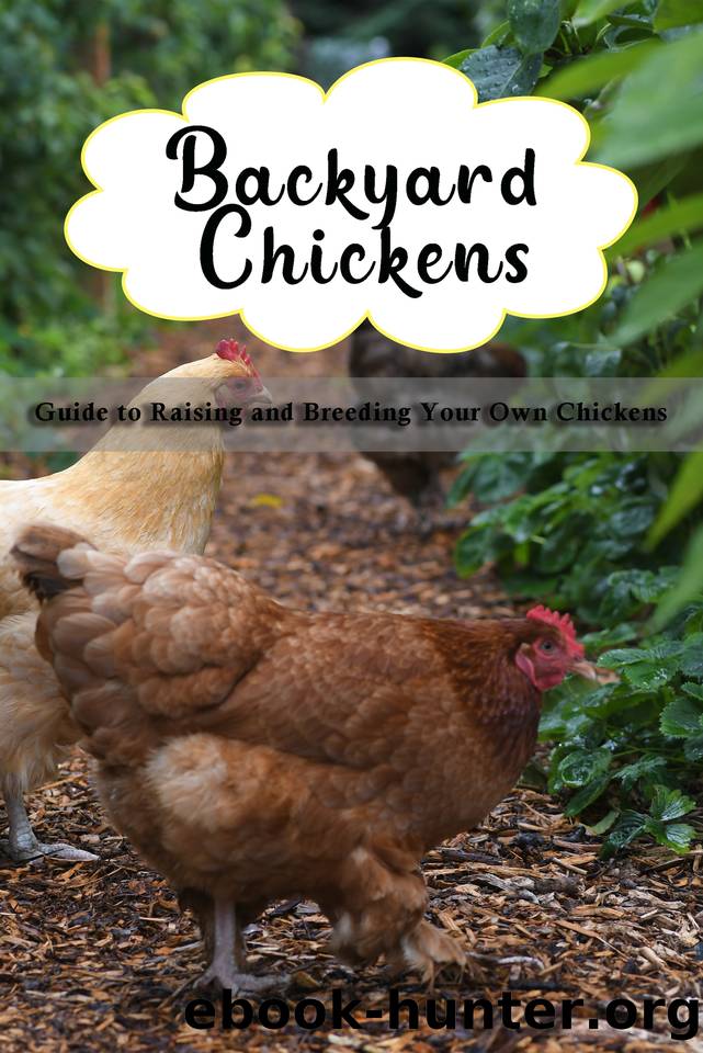 Backyard Chickens: Guide to Raising and Breeding Your Own Chickens by Joshua McPherson