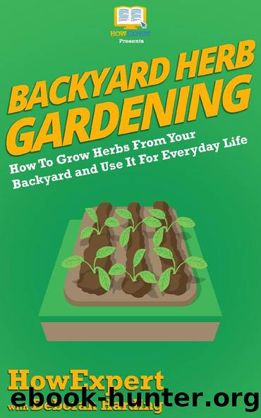 Backyard Herb Gardening by HowExpert