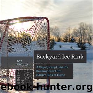 Backyard Ice Rink by Joe Proulx