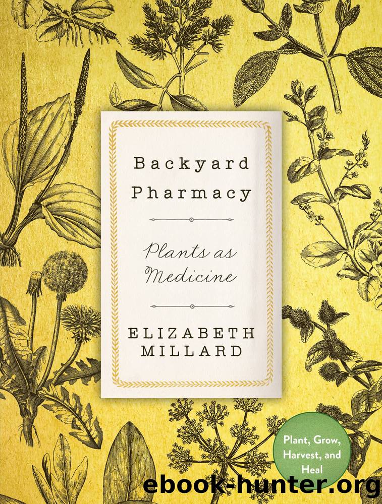 Backyard Pharmacy by Millard Elizabeth;