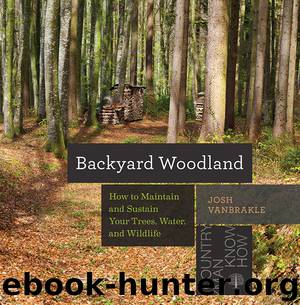 Backyard Woodland by Josh VanBrakle