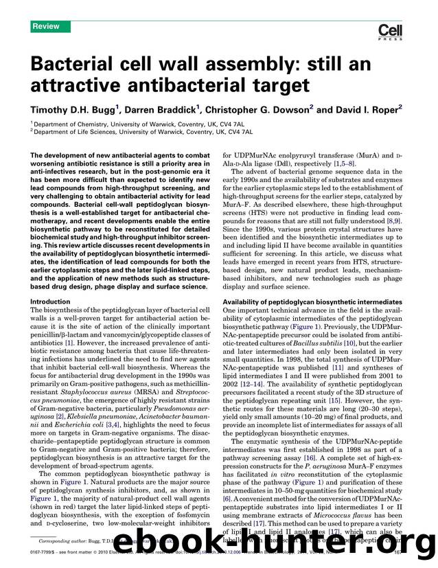 Bacterial cell wall assembly: still an attractive antibacterial target by Timothy D.H. Bugg