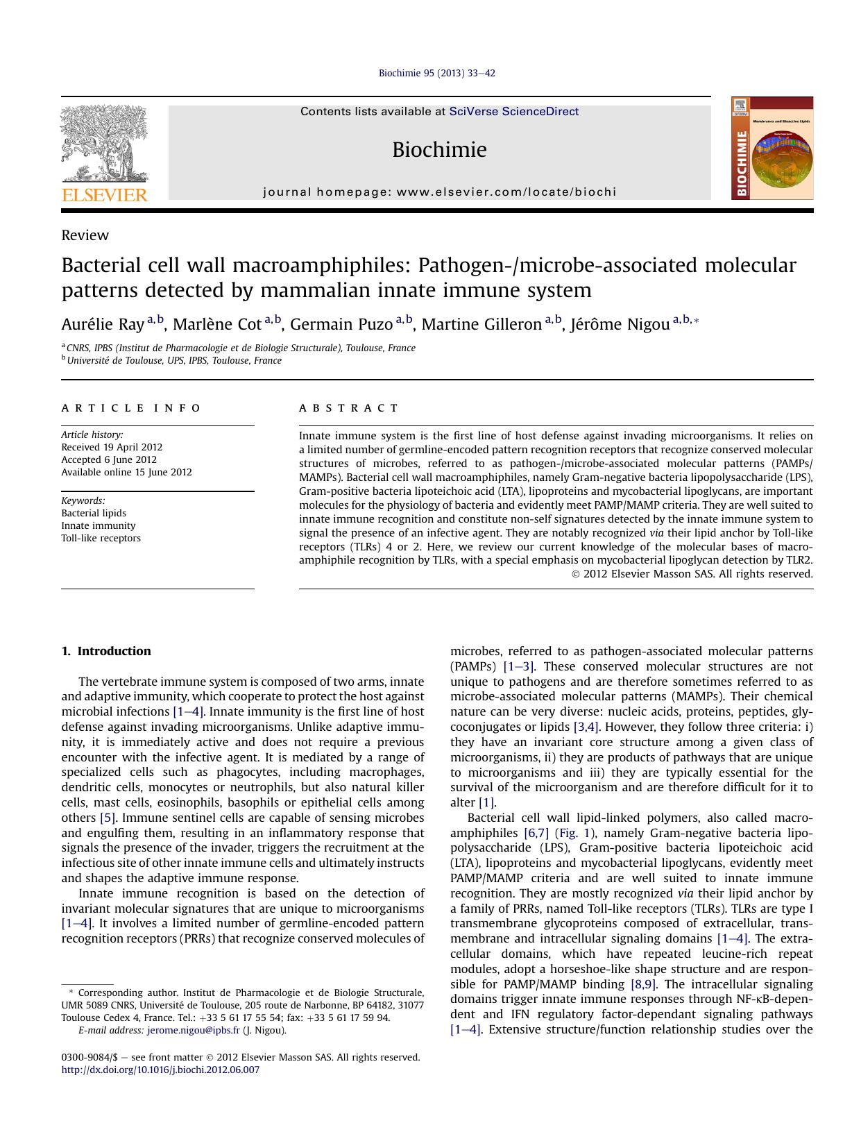 Bacterial cell wall macroamphiphiles: Pathogen-microbe-associated molecular patterns detected by mammalian innate immune system by Aurélie Ray & Marlène Cot & Germain Puzo & Martine Gilleron & Jérôme Nigou