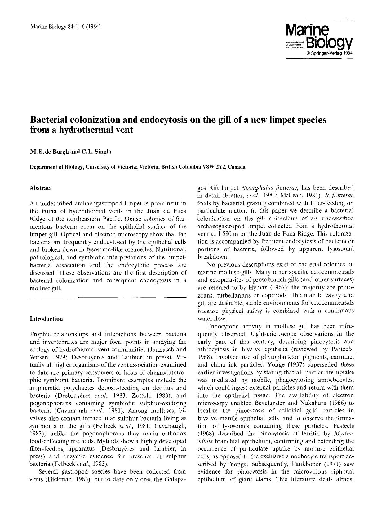 Bacterial colonization and endocytosis on the gill of a new limpet species from a hydrothermal vent by Unknown