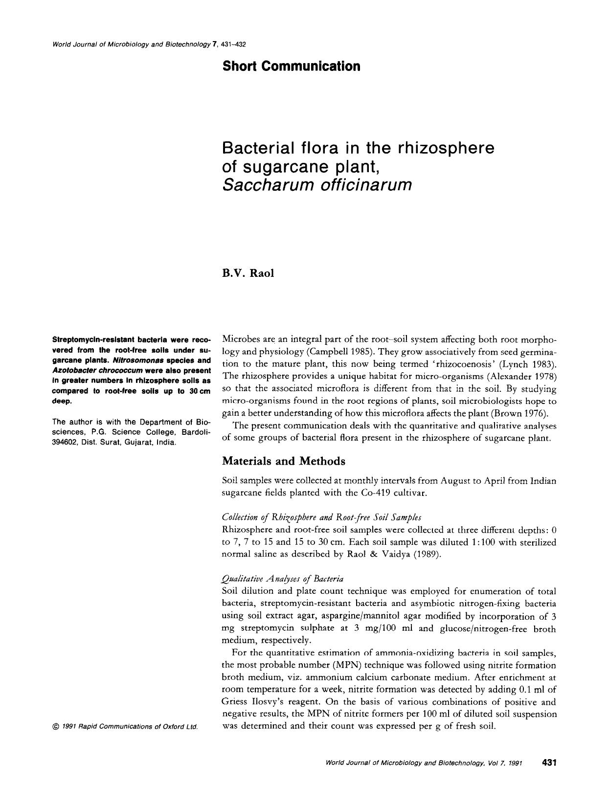 Bacterial flora in the rhizosphere of sugarcane plant, <Emphasis Type="Italic">Saccharum officinarum<Emphasis> by Unknown