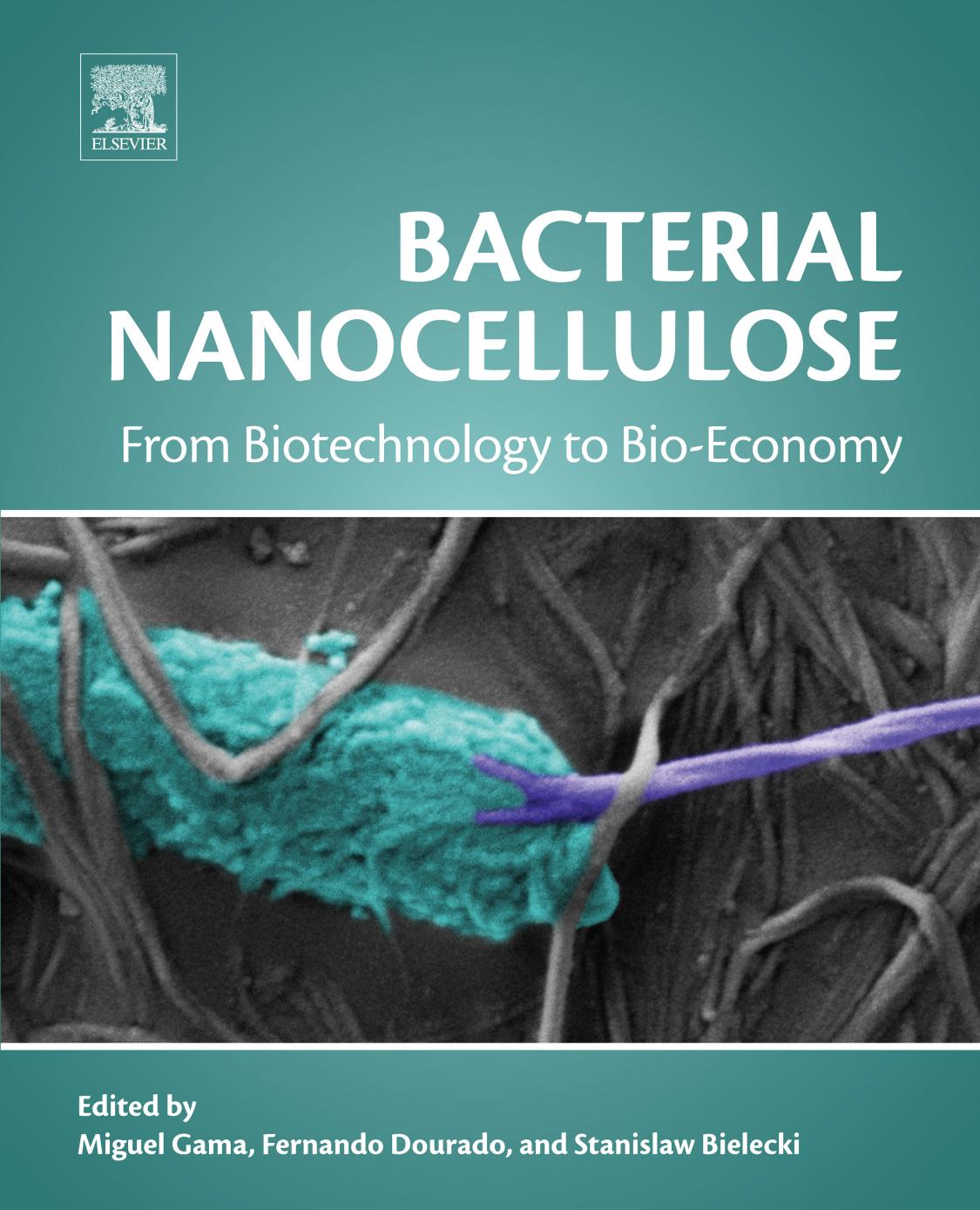 Bacterial nanocellulose: from biotechnology to bio-economy by Bielecki Stanislaw; Dourado Fernando; Gama Miguel