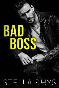 Bad Boss (Irresistible Book 2) by Stella Rhys