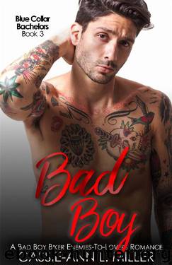 Bad Boy (Blue Collar Bachelors Book 3) by Cassie-Ann L. Miller