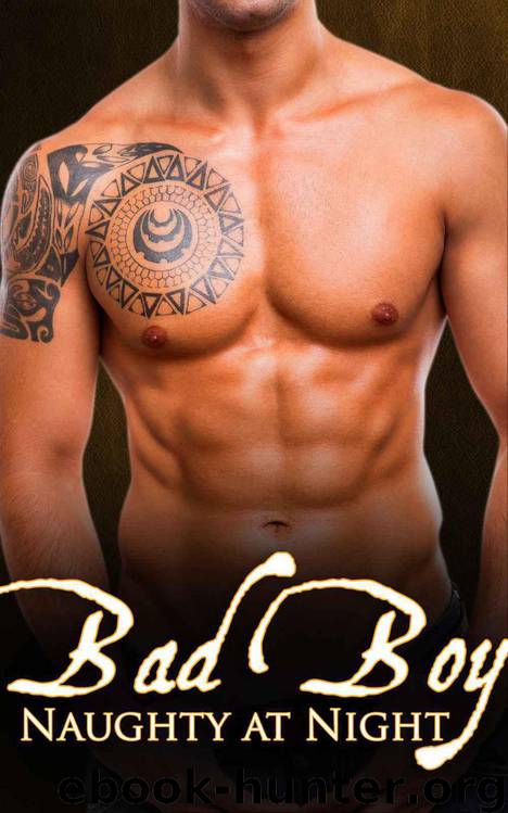 Bad Boy (Naughty at Night #1) by Jamie Lake