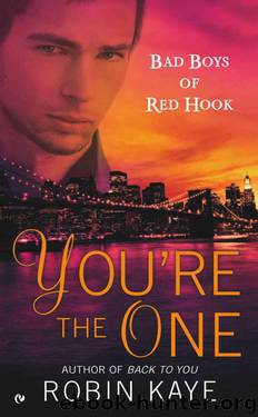 Bad Boys of Red Hook [2] You're the One by Robin Kaye
