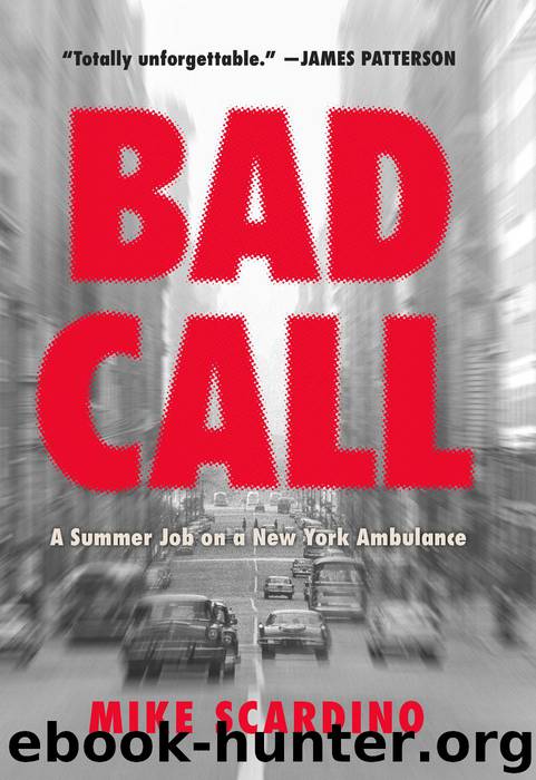 Bad Call by Mike Scardino