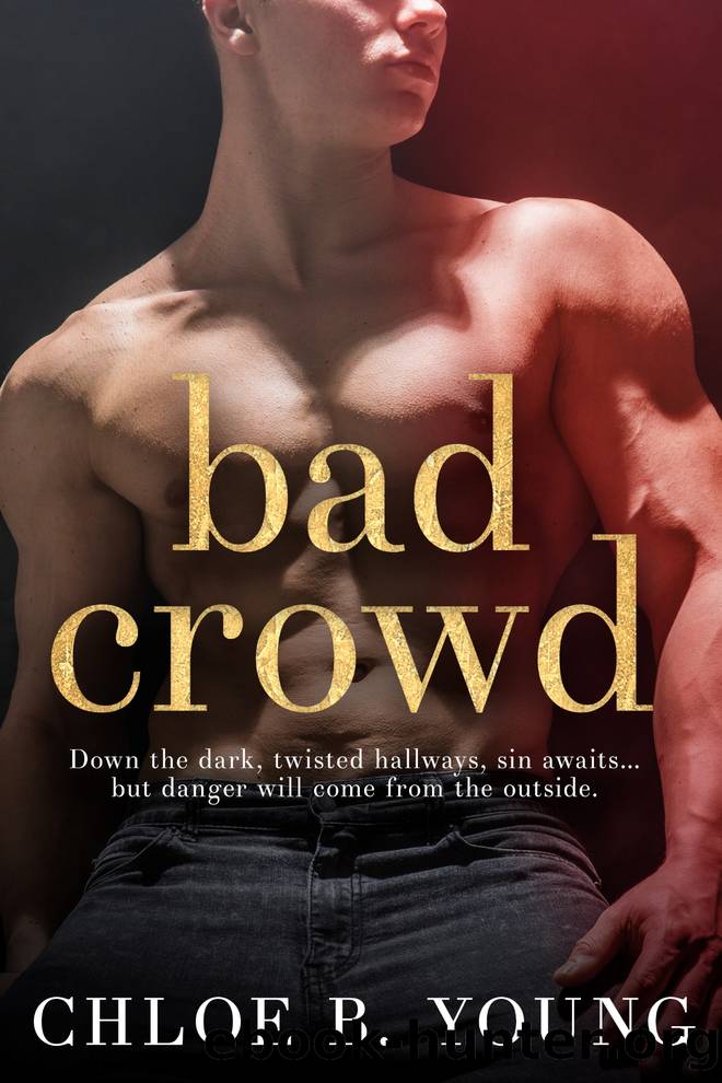 Bad Crowd by Chloe B. Young