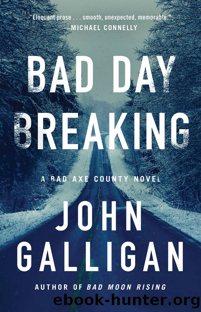 Bad Day Breaking by John Galligan