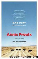 Bad Dirt: Wyoming Stories 2 by Proulx Annie