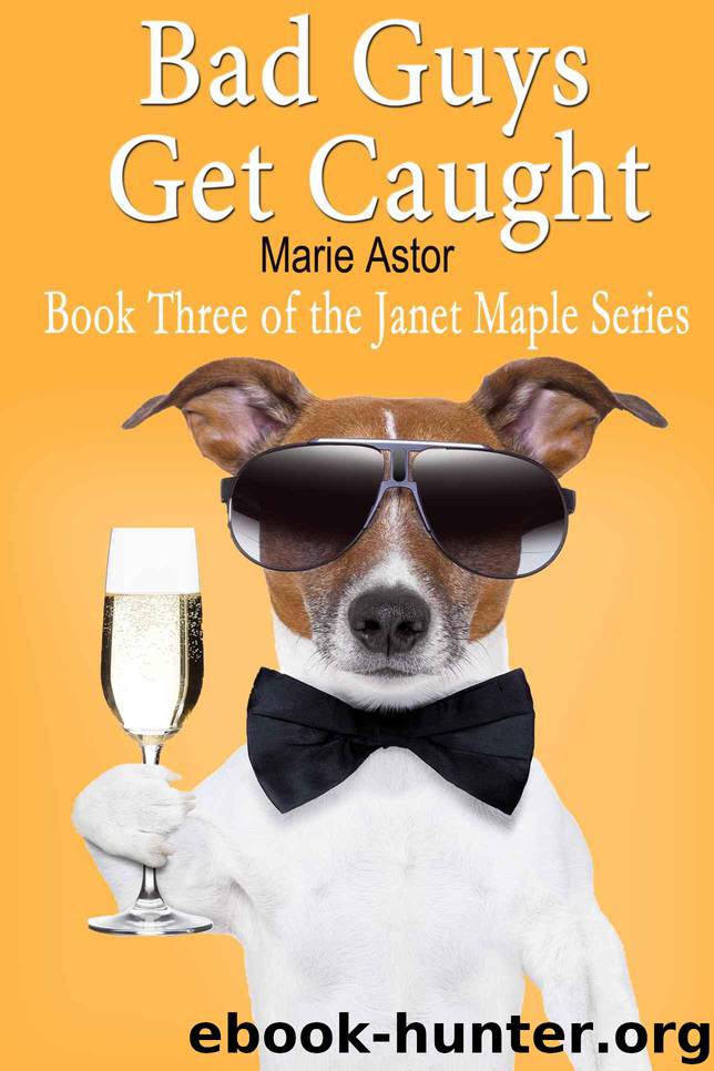 Bad Guys Get Caught (Book Three) (Janet Maple Series) by Astor Marie