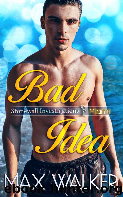 Bad Idea: Stonewall Investigations - Miami by Walker Max