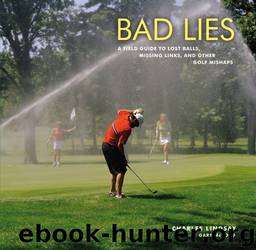 Bad Lies by Charles Lindsay