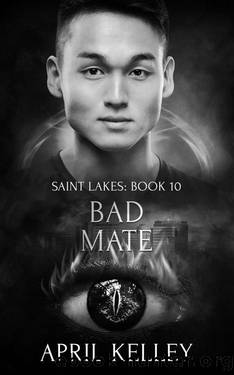 Bad Mate: A Vampire and Cat Shifter MM Paranormal Romance (Saint Lakes Book 10) by April Kelley