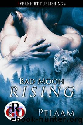 Bad Moon Rising by Pelaam