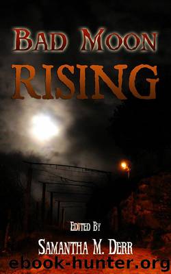 Bad Moon Rising by unknow