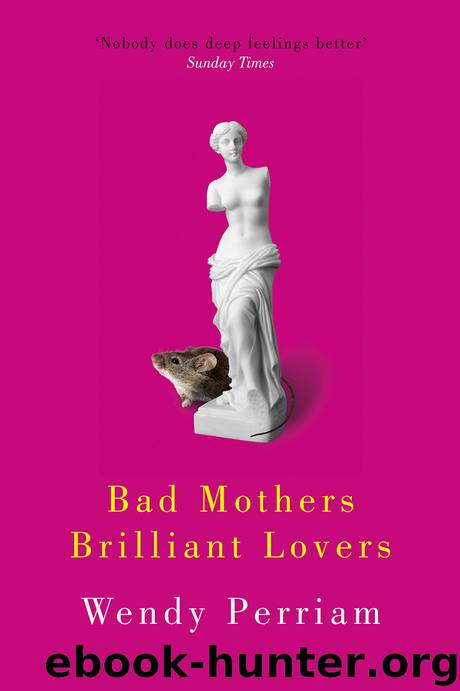Bad Mothers Brilliant Lovers by Wendy Perriam