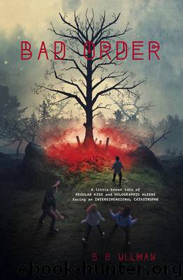 Bad Order by B.B. Ullman