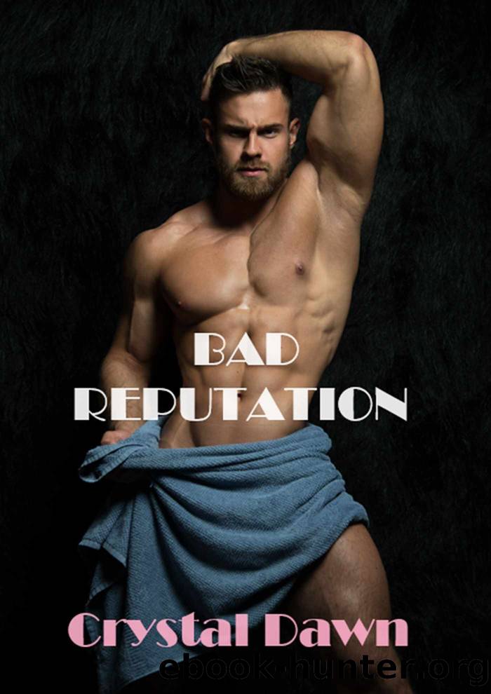 Bad Reputation (Wolf Investigations and Securities Inc. Book 5) by Crystal Dawn