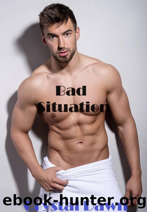 Bad Situation (Wolf Investigations and Securities Inc. Book 6) by Crystal Dawn