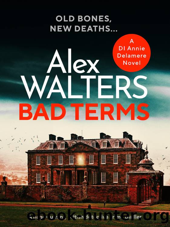 Bad Terms by Alex Walters