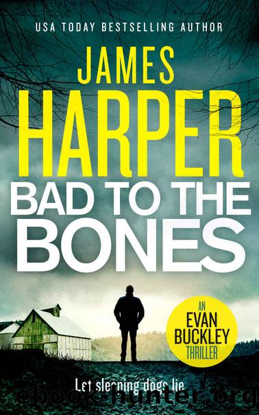 Bad To The Bones by James Harper