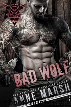Bad Wolf (A Breed MC Book Book 5) by Anne Marsh