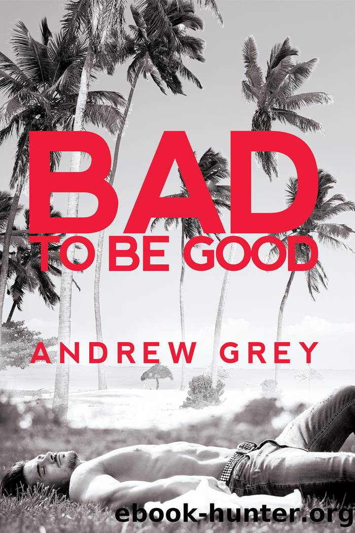 Bad to Be Good by Andrew Grey