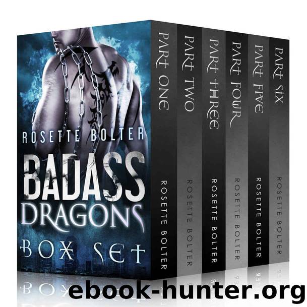 Badass Dragons: The Complete Set by Rosette Bolter