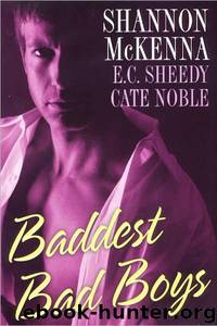 Baddest Bad Boys by Shannon McKenna & Cate Noble & E. C. Sheedy