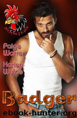 Badger (Roosters 5): A Devil's Fury MC Romance by Harley Wylde & Paige Warren