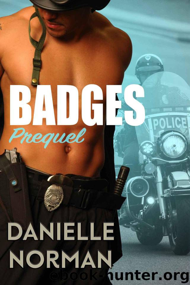 Badges Prequel: Badges (Iron Orchids Book 7) by Norman Danielle