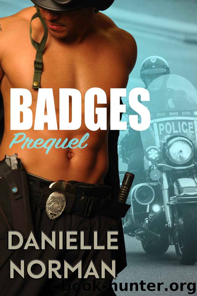 Badges Prequel: Iron Badges Series by Norman Danielle