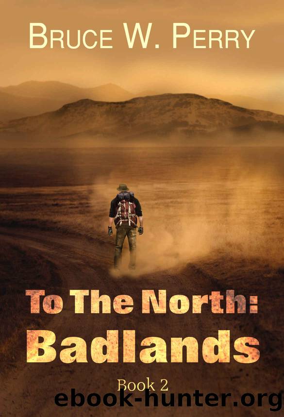 Badlands by Bruce W. Perry