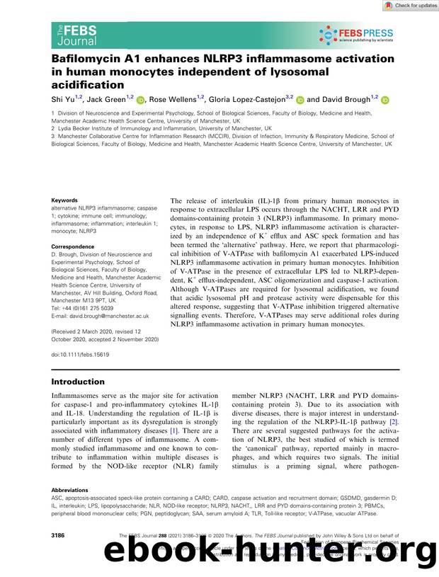 Bafilomycin A1 enhances NLRP3 inflammasome activation in human monocytes independent of lysosomal acidification by Unknown