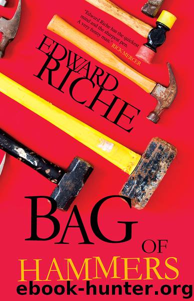 Bag of Hammers by Edward Riche