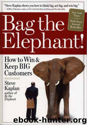 Bag the Elephant: How to Win and Keep Big Customers by Steve Kaplan
