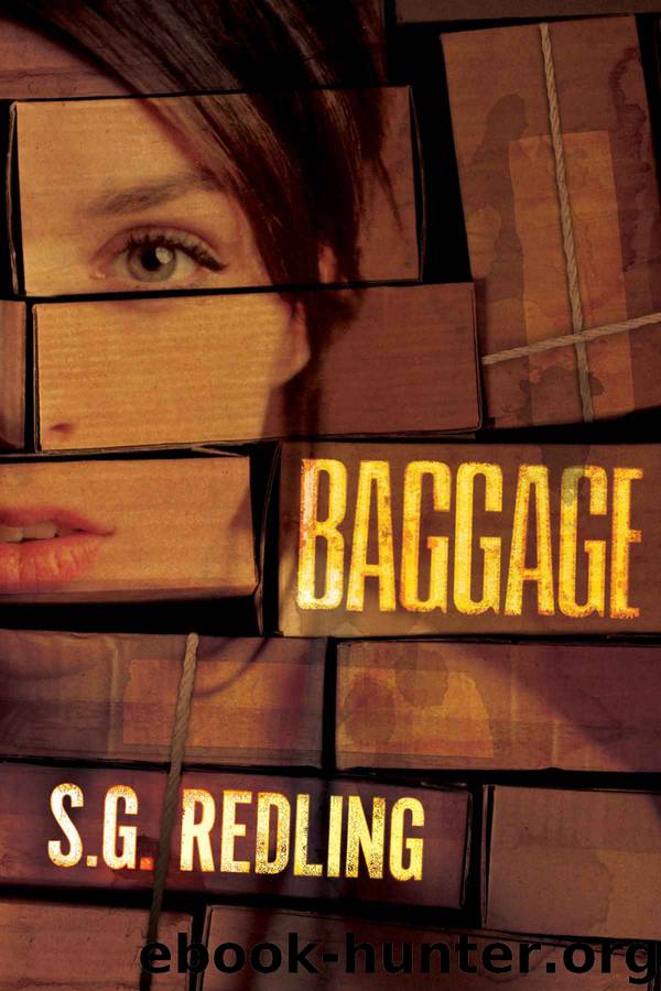 Baggage by S G Redling