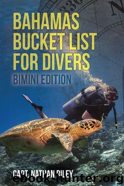 Bahamas Bucket List for Divers: Bimini Edition by Nathan Riley
