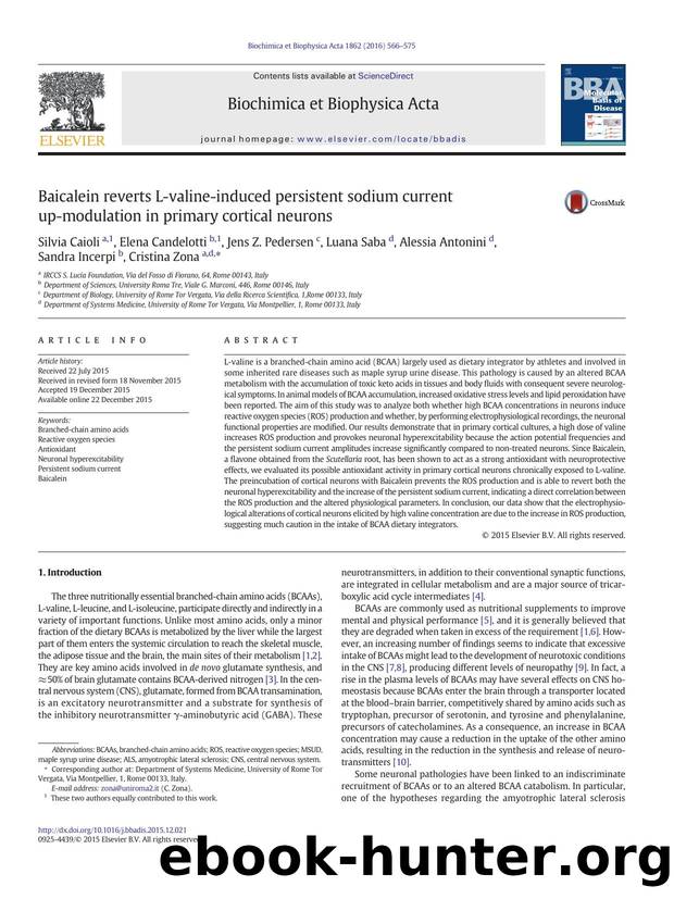 Baicalein reverts L-valine-induced persistent sodium current up-modulation in primary cortical neurons by unknow